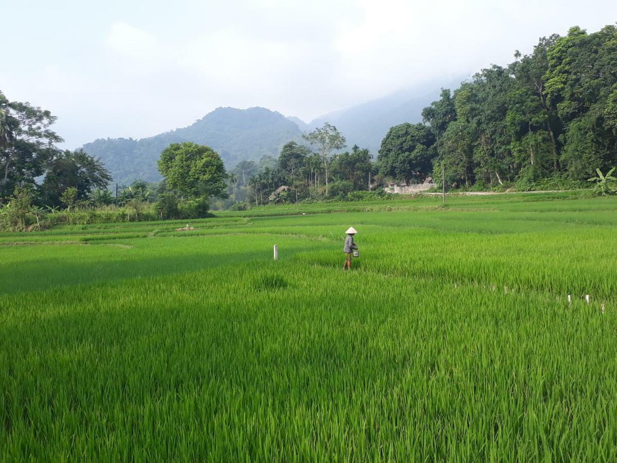 Ha Giang Faithien Homestay エクステリア 写真