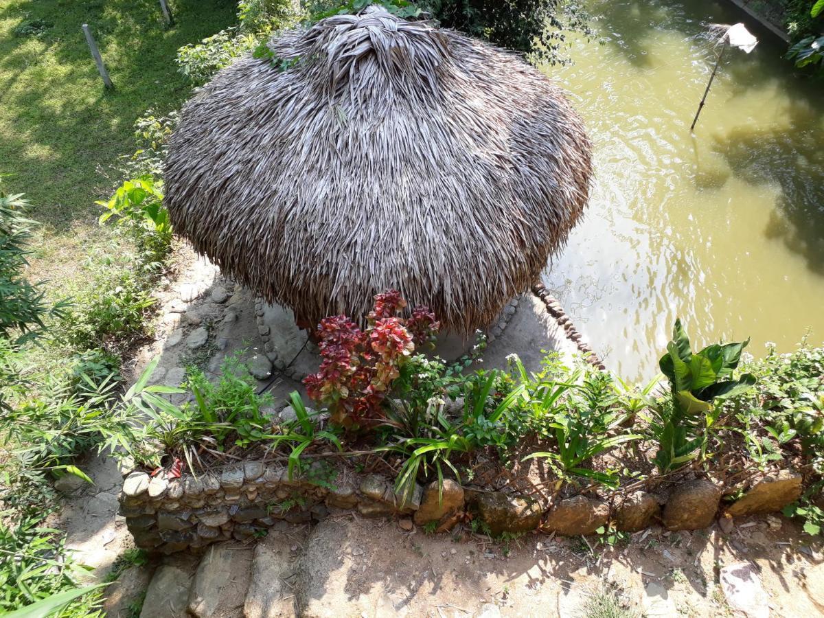Ha Giang Faithien Homestay エクステリア 写真