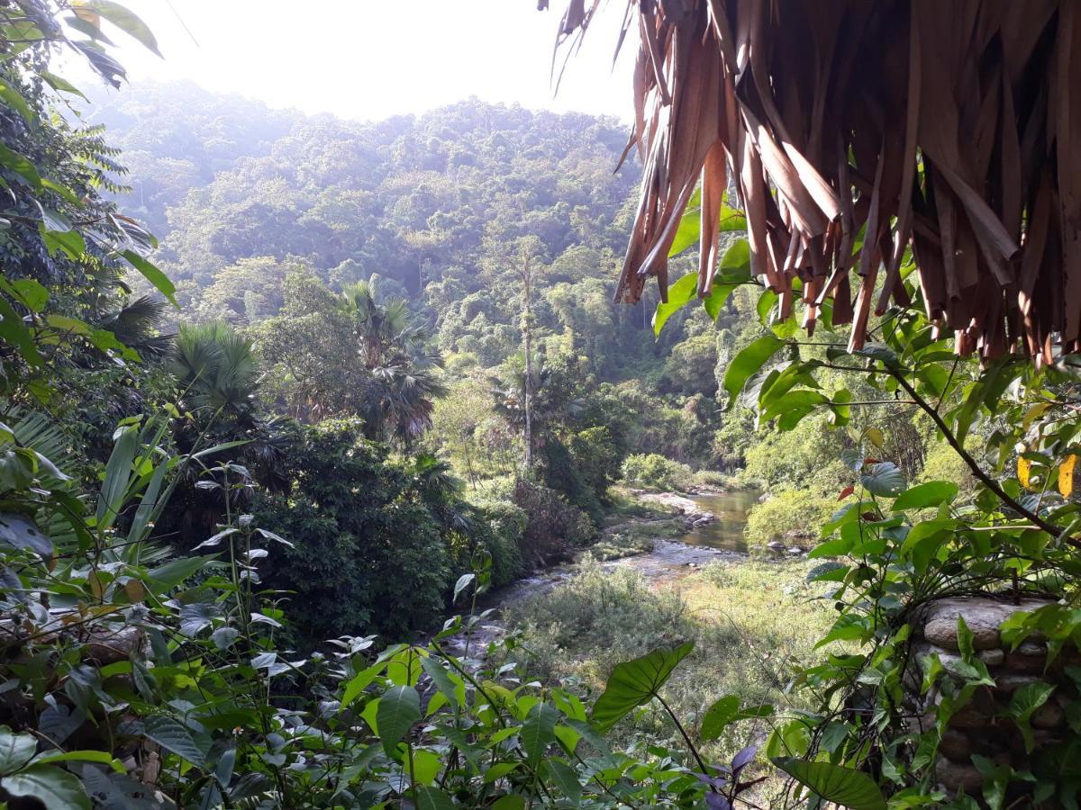 Ha Giang Faithien Homestay エクステリア 写真